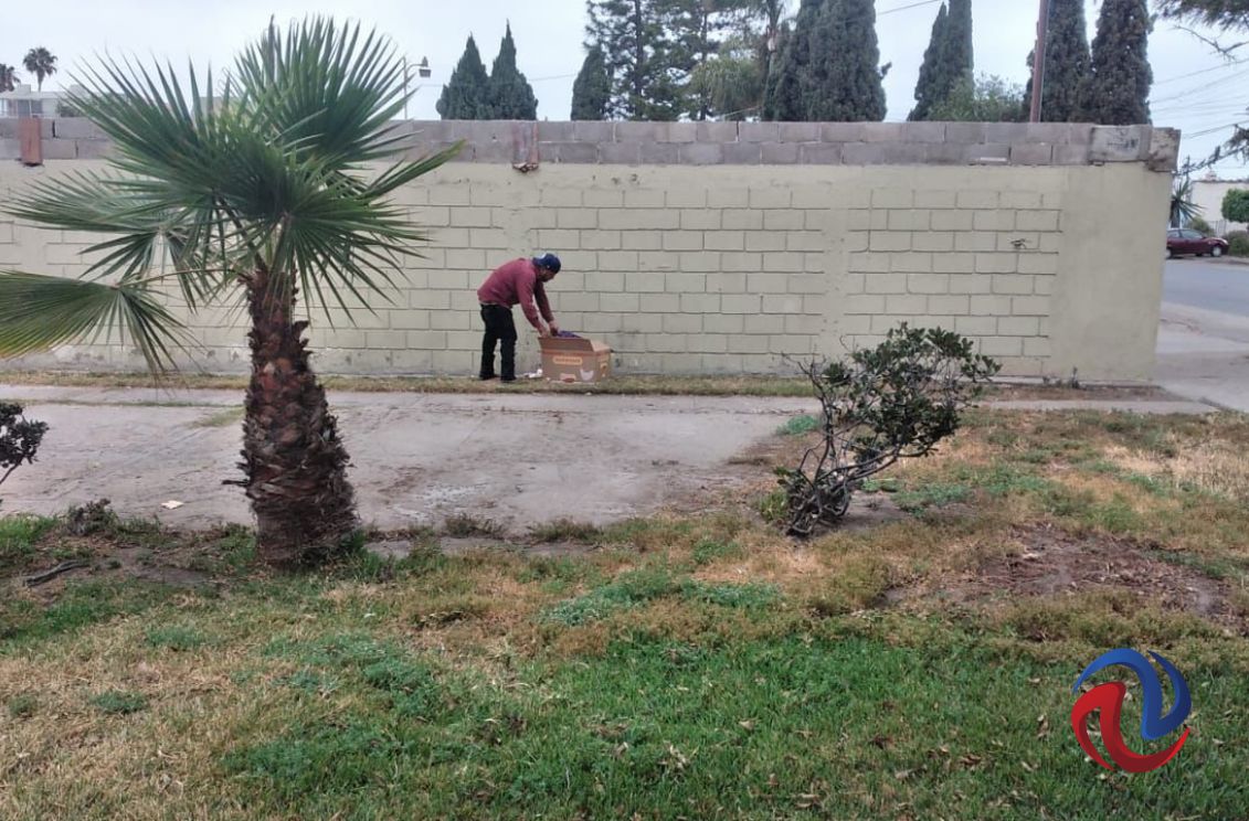 Siguen las labores de limpieza en vialidades, parques y jardines de Ensenada